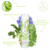 Hydra Lotion 3 en 1 La Chenaie