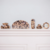 Collection Ecaille Bachca