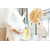Eve et Rose - soins naturels et bio pour femme enceinte