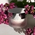 Saisons dEden - gelée à la rose - soin visage bio