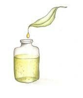 Doux Good parfums et bien-etre
