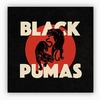 disque-vinyle-black-pumas-album-cover