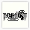 disque-vinyle-experience-prodigy-album-cover