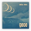 disque-vinyle-gece-altin-gun-album-cover