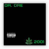 disque-vinyle-chronic-2001-dr-dre-album-cover