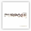 vinyle-noisia-purpose-ep-album-cover