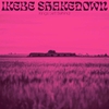 vinyle-ikebe-shakedown-king-left-behind-album-cover