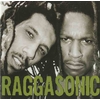 disque-vinyle-raggasonic-raggasonic-album-cover