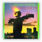 Sonic Youth - Bad Moon Rising (Vinyle, LP, Album)