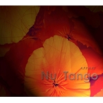 A.P.P.A.R.T - Nu Tango (CD, Album)
