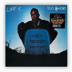 disque-vinyle-life-is-too-short-album-cover