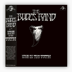 disque-vinyle-long-in-the-tooth-the-budos-band-album-cover