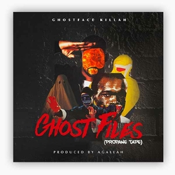 disque-vinyle-ghost-files-propane-tape-ghostface-killah-album-cover