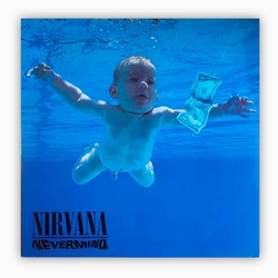 vinyle-nirvana-nevermind-album-cover