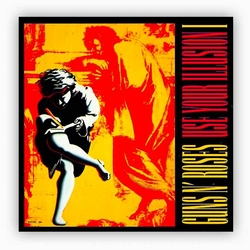 vinyle-guns-n-roses-use-your-illusion-album-cover