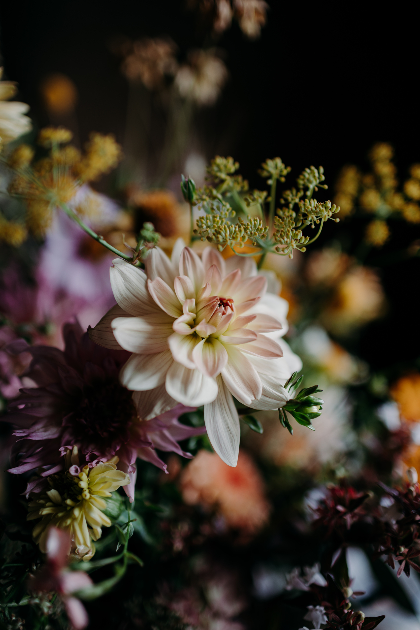 lucie sylvain 114 maselection