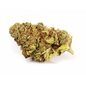 gorilla-glue-fleur-de-cannabis-legal-cbd-indor(1)