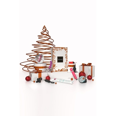 Calendrier de l'Avent Coffret Érotique Everymiss Édition 2022