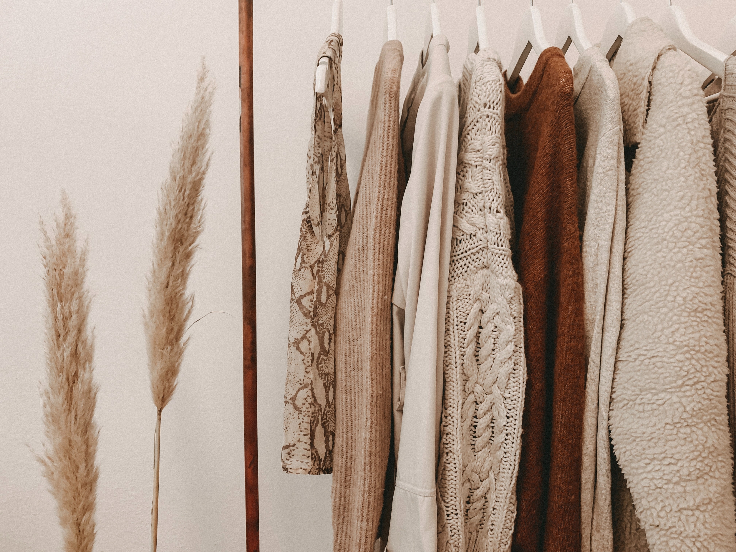 alyssa-strohmann-TS--uNw-JqE-unsplash (1)