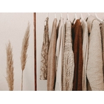 alyssa-strohmann-TS--uNw-JqE-unsplash (1)