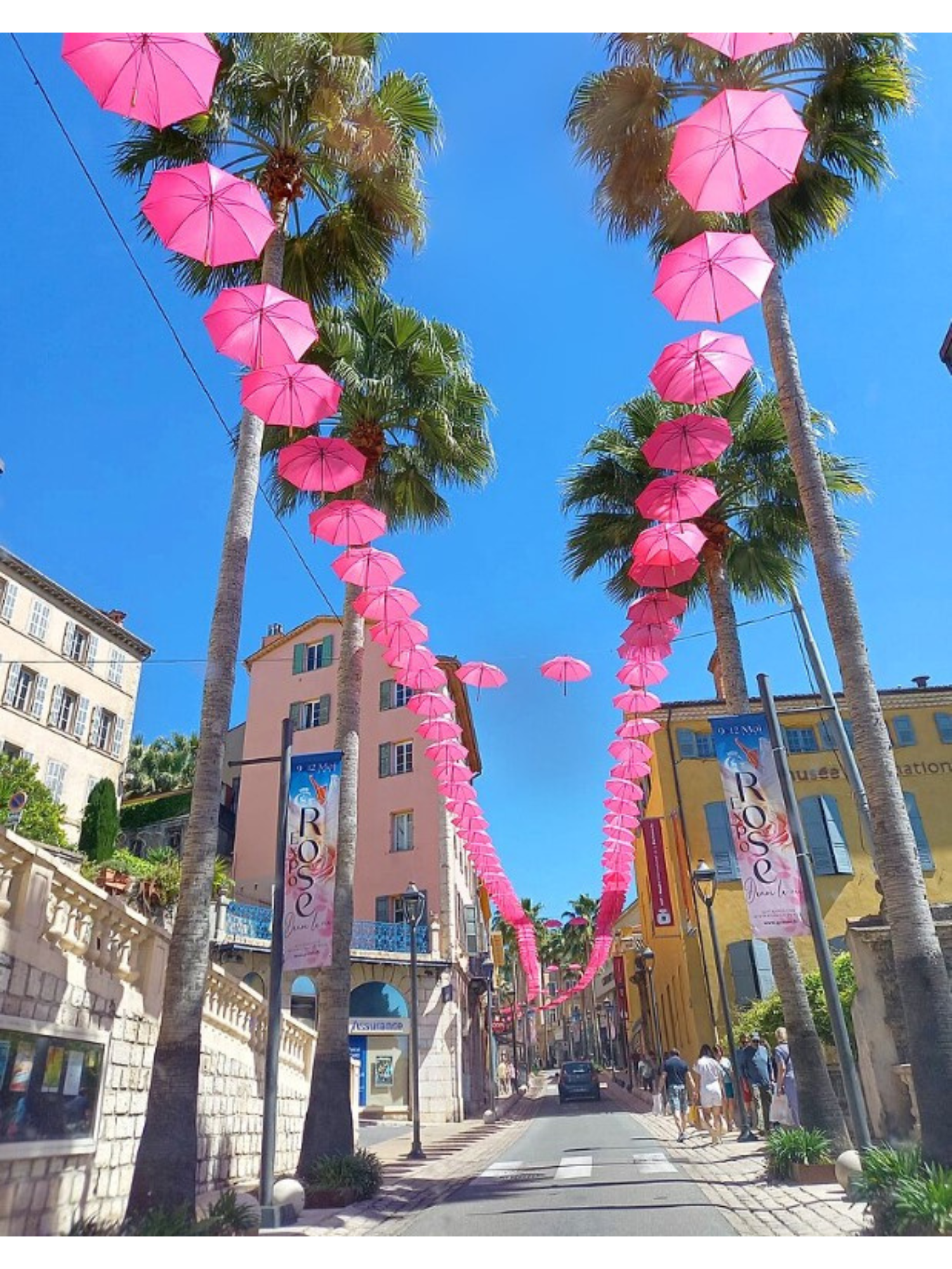 GRASSE