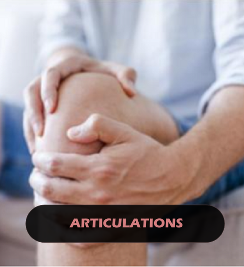 articulations