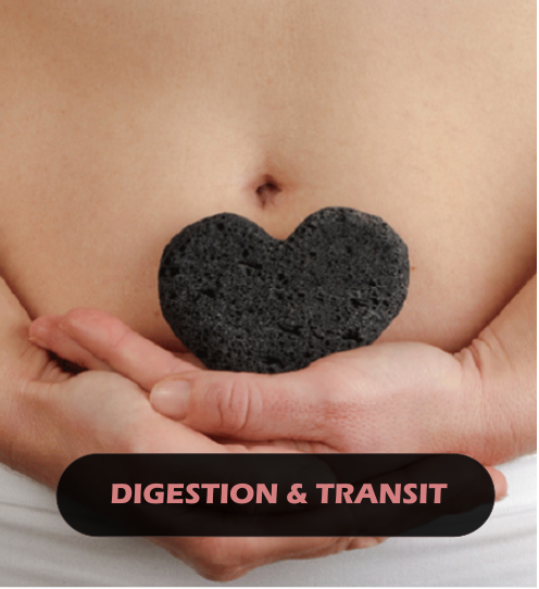 digestion-transit