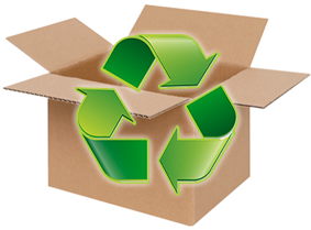 carton recycle petit
