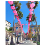 GRASSE