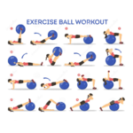 Exercices swiss ball