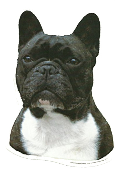 Autocollant Vinyle Décoratif Bouledogue Français - Pour Voiture, Casque, Glacière, Qualité Extérieure Durable