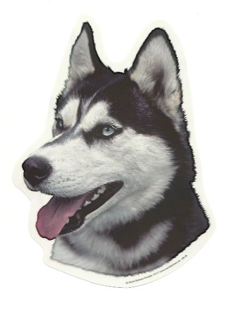 husky