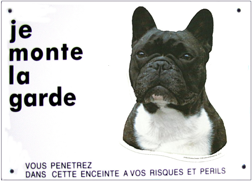 bouledogue_francais