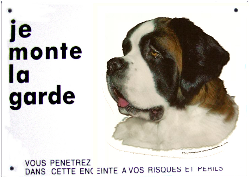 saint_bernard