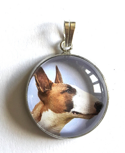 bull_terrier