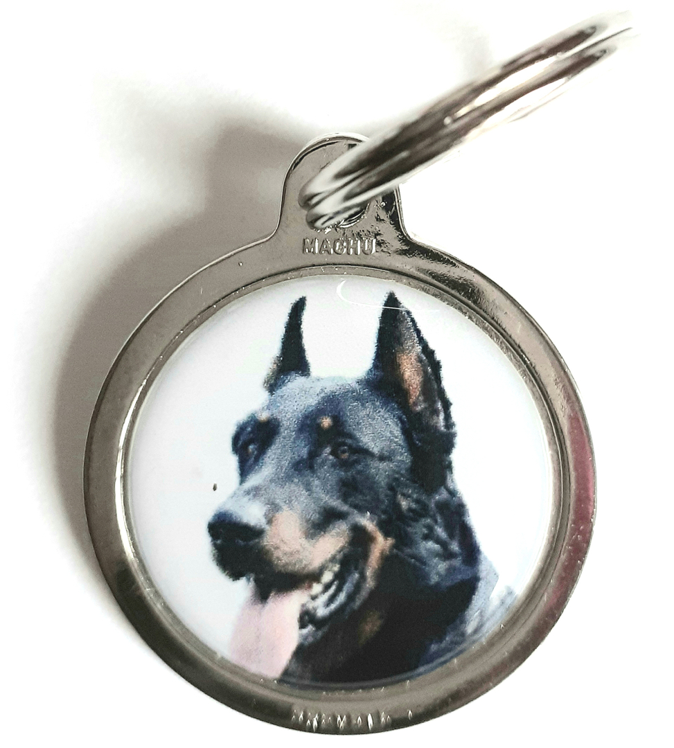 MACHU® - Médaille Chien chromée 3 cm Personnalisable- Convient à