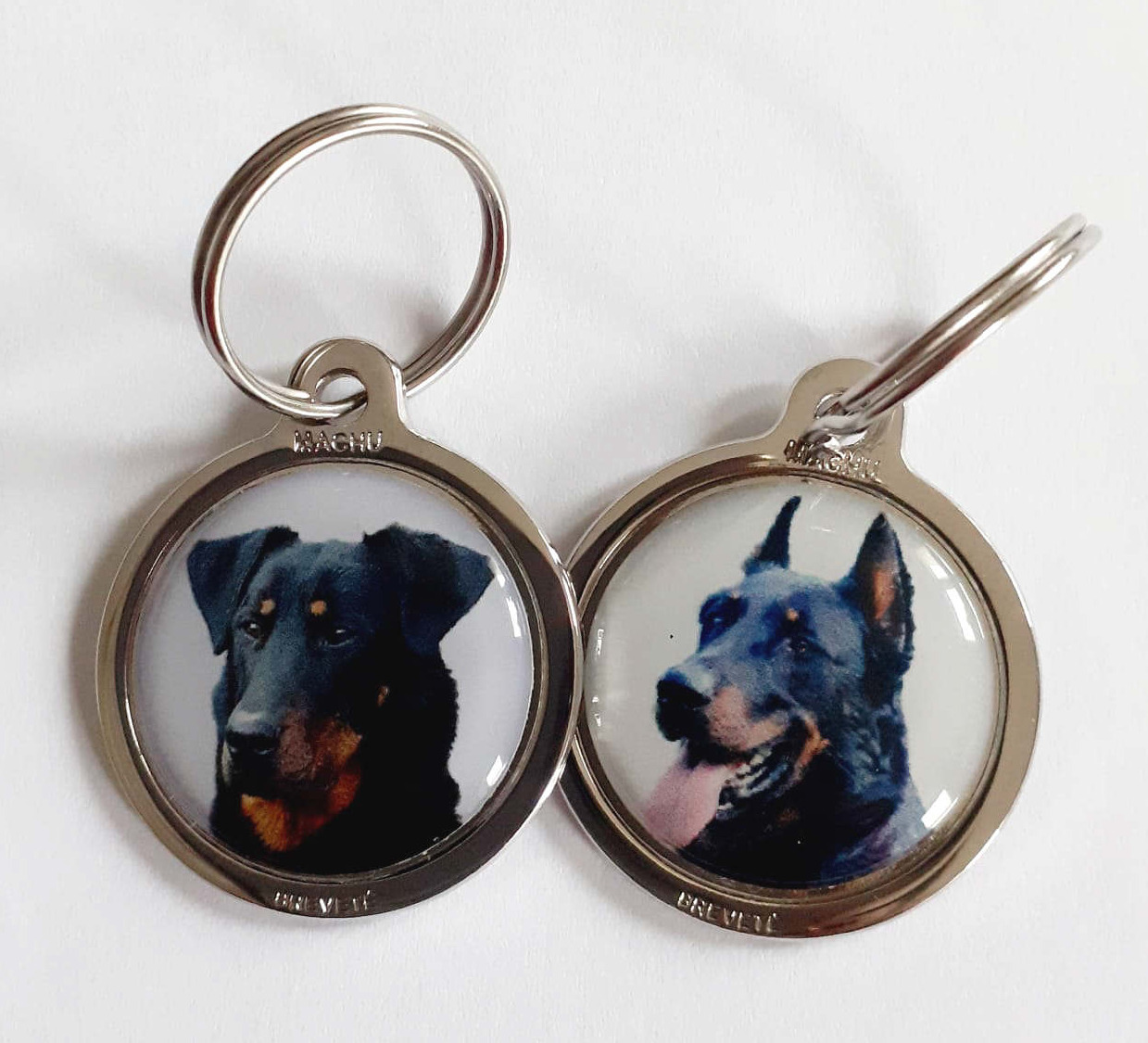 Beauceron_image