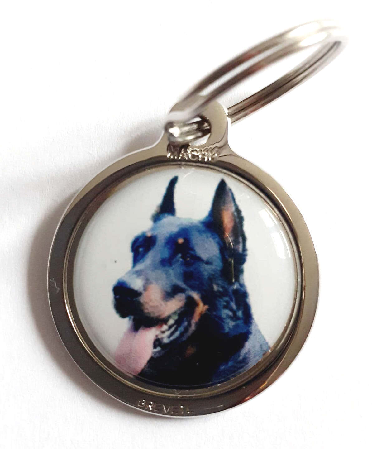 Race_chienBeauceron3