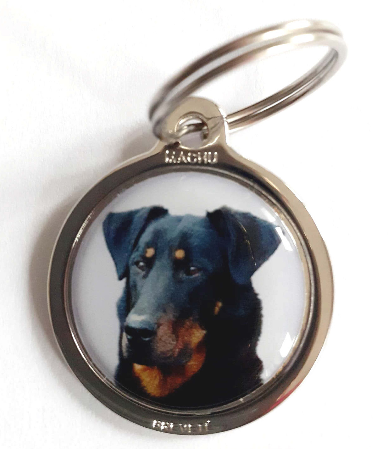 Race_chienBeauceron4