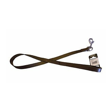 laisse-marron-0492558001391010850