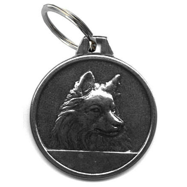 spitz-0425187001391970058