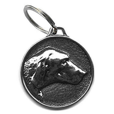 labrador-0218813001391970055