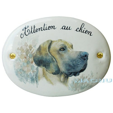 dog_all