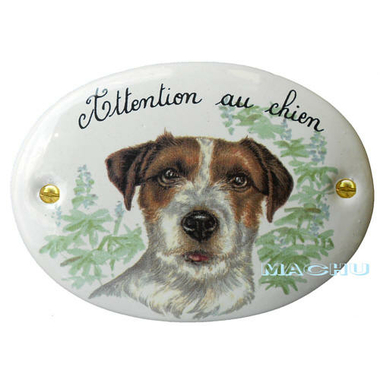 jack_russel