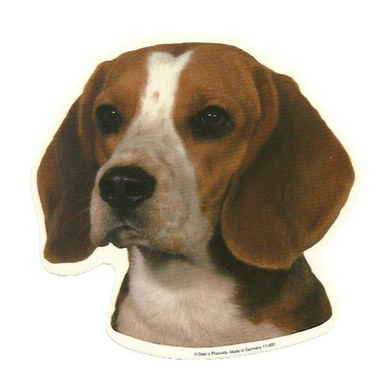 beagle_odels
