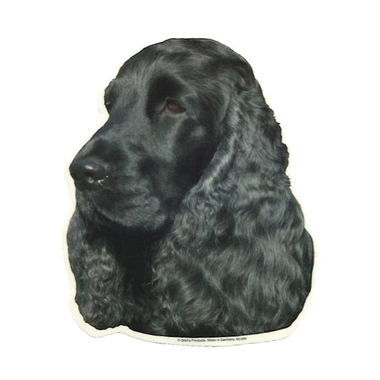cocker_noir_odels