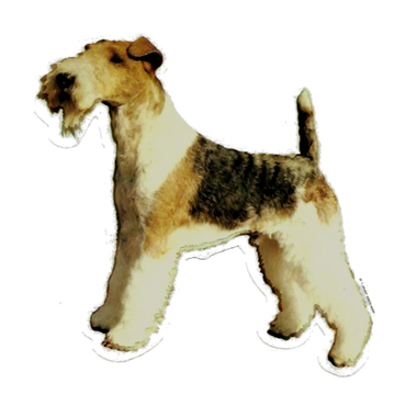 fox_terrier