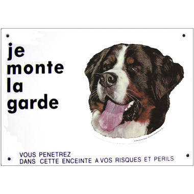 bouvier_bernois