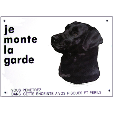 labrador_noir