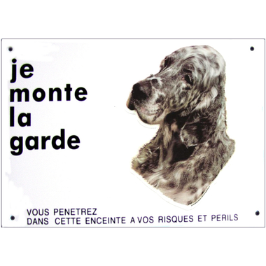 setter_anglais_bluebelton